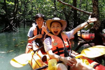 Mangrove Forest Kayaking Tour from Langkawi