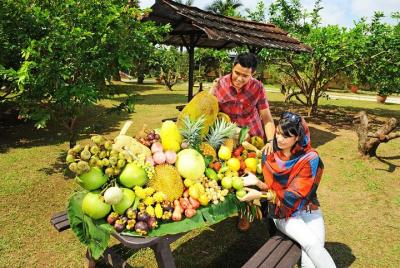 Penang City Tour with Tropical Fruit Farm Admission Ticket Penang City Tour with Tropical Fruit Farm Admission Ticket