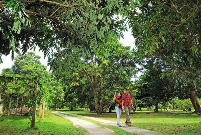 Penang Half Day City Tour Including Tropical Fruit Farm Penang Half Day City Tour Including Tropical Fruit Farm