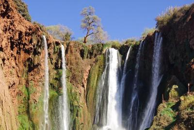 Full-Day Private Tour of Ouzoud Falls from Marrakesh Full-Day Private Tour of Ouzoud Falls from Marrakesh
