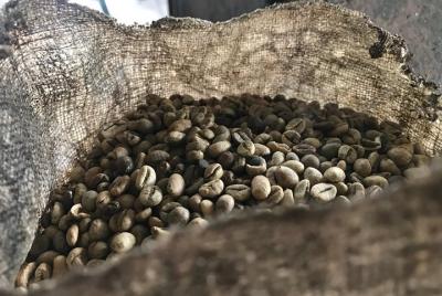 Coffee History in Klang Coffee History in Klang