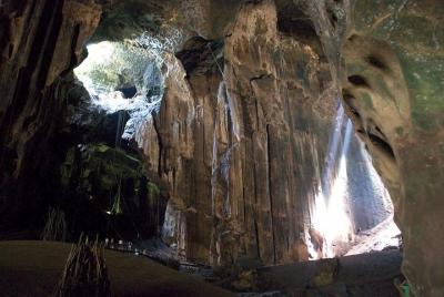 Private Full Day Gomantong Cave and Kinabatangan River Cruise wit