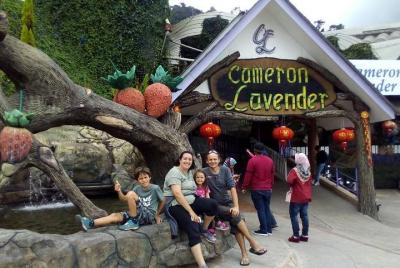 Cameron Highlands: Agro Delight Tour