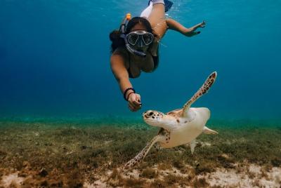 Maafushi: Snorkeling in Maldives full day trip