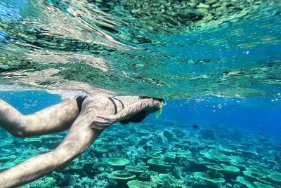 Snorkeling and Villigili island tour Snorkeling and Villigili island tour