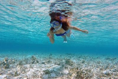 Guided Snorkeling Trip Guided Snorkeling Trip