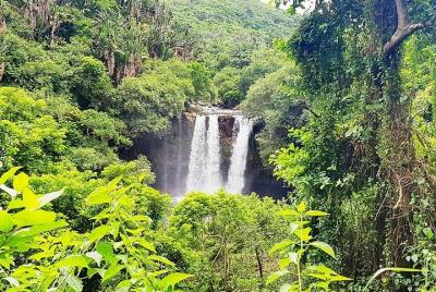Cool Mauritius hike Cool Mauritius hike