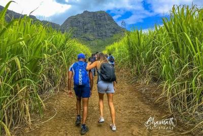 Top Mauritius hike Top Mauritius hike