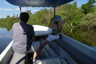 ✨3 Palos Lagoon Jungle Tour-Baby Turtle Release-Boat Ride-Crocodi ✨3 Palos Lagoon Jungle Tour-Baby Turtle Release-Boat Ride-Crocodi