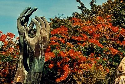 Acapulco All Inclusive 6hrs Tour Acapulco All Inclusive 6hrs Tour