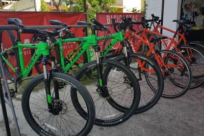Bicycle rental Bicycle rental
