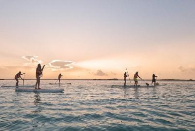 Paddle and / or Kayak Tour in Bacalar Paddle and / or Kayak Tour in Bacalar