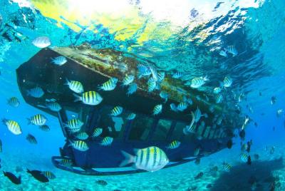 Paradise Subsee Explorer