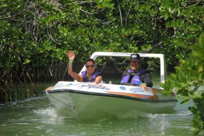 Mangrove and Lagoon Speed Boat Tour  Mangrove and Lagoon Speed Boat Tour