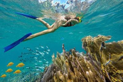 Puerto Morelos Reef Snorkeling Tour with Cancun & Playa del Carme