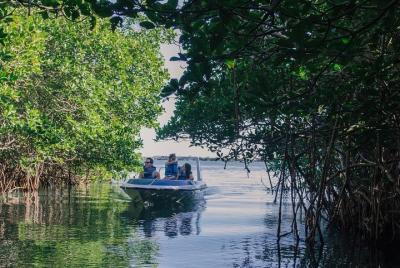 Cancun Mangrove Channel Adventure: Drive Your Own Speedboat