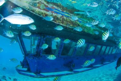 Glass Bottom Boat in Cancun Glass Bottom Boat in Cancun