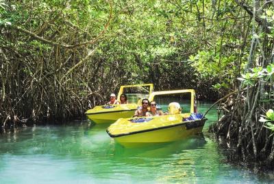 Speedboat and snorkel adventure 