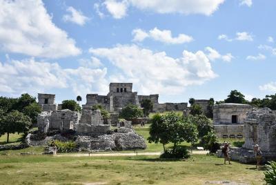 Coba, Cenote, Tulum & Playa del Carmen Tour 4X1 