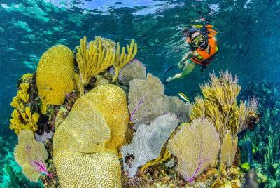 Snorkel Native Park - Park Admission Ticket for Reef Snorkel