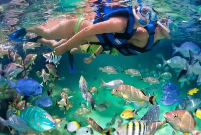 Discover Isla Mujeres with this tour with snorkel, buffet and ope