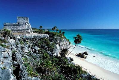 4X1 VIP Tulum, Coba, Cenote and Playa del Carmen Tour