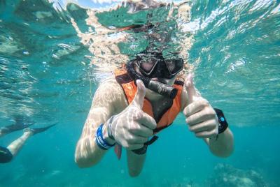 Speedboat adventure in cancun waters
