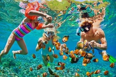 Nizuc Reef Snorkel Experience Nizuc Reef Snorkel Experience