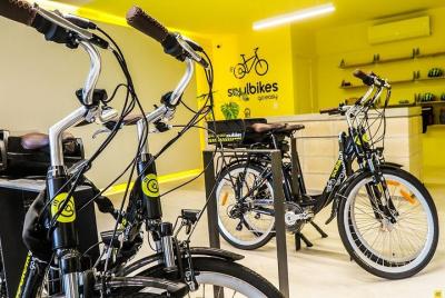 Electric Bike Rental (Half Day, 6 hours) Electric Bike Rental (Half Day, 6 hours)