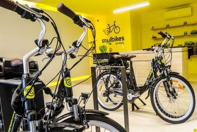 Electric Bike Rental (Full Day)