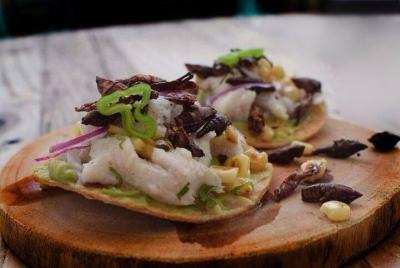 Pre-Hispanic Bugs Cuisine Tasting Tour  Pre-Hispanic Bugs Cuisine Tasting Tour