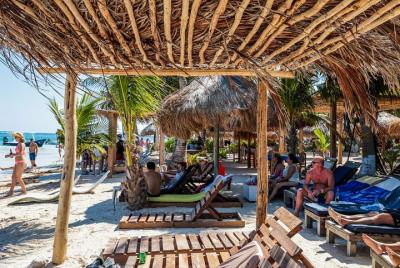 Costa Maya Reef snorkeling Excursion+Beach day ,free transfer la  Costa Maya Reef snorkeling Excursion+Beach day ,free transfer la