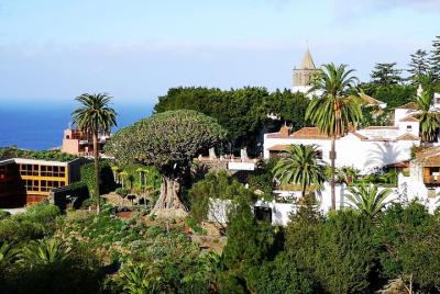 The Terraces of the North (Island Tour) The Terraces of the North (Island Tour)