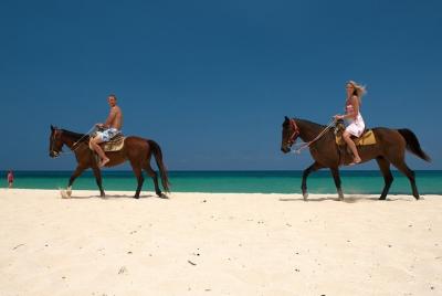 Cozumel Beach Horseback Riding Tour Cozumel Beach Horseback Riding Tour