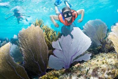Balá Boat Snorkel Open Sea Snorkeling Tour