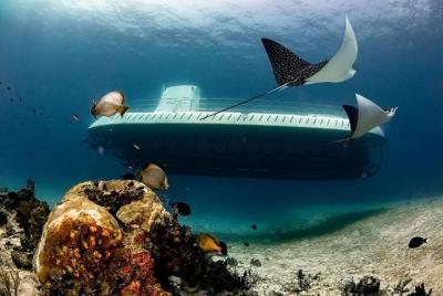 Atlantis Submarine Atlantis Submarine