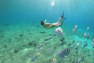 Clear Boat & Snorkel Cozumel Semi-Private Tour