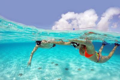 Snorkeling in Cozumel Arrecifes Paraíso Bajo, Profundo and Villab