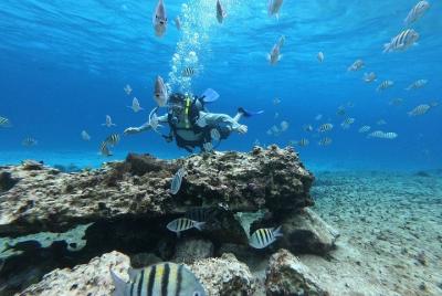 Discover Scuba Diving