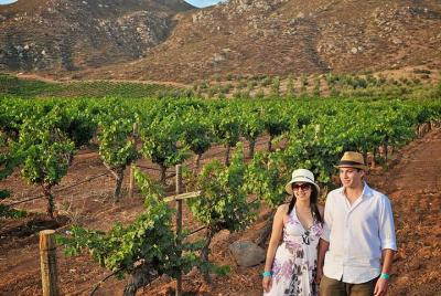 Wine tour valley of guadalupe Wine tour valley of guadalupe