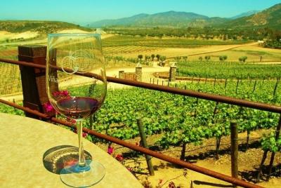 Live the Wine route, taste WORLDWIDE award-winning wines and thei Live the Wine route, taste WORLDWIDE award-winning wines and thei