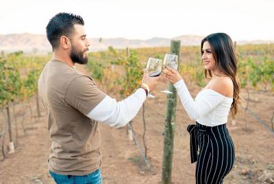 Celebrate Your Birthday / Wine Tasting Valle de Guadalupe & king  Celebrate Your Birthday / Wine Tasting Valle de Guadalupe & king