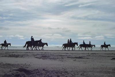 best tours ensenada best tours ensenada