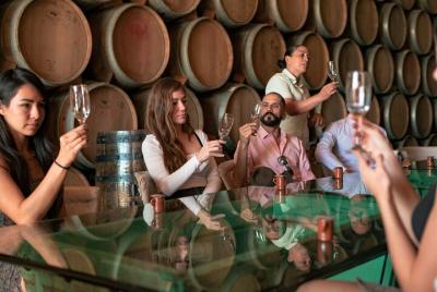 Vip Tequila Experience Vip Tequila Experience