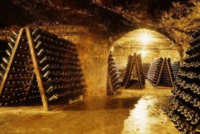 Cavas Freixenet Wine Tour from Mexico City Cavas Freixenet Wine Tour from Mexico City