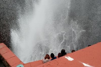 Las Canadas Ecopark and Bufadora private tour  Las Canadas Ecopark and Bufadora private tour