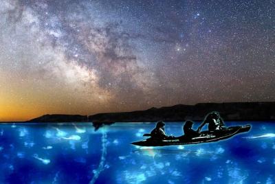 Bioluminescence Night kayak Isla Holbox