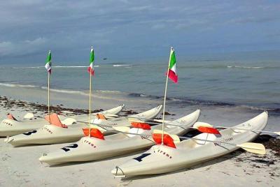 Mangroves Paddling tour
