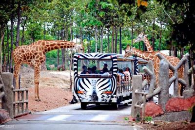 Chiang Mai Night Safari Tour including Transfer (Minimum 2 pax) Chiang Mai Night Safari Tour including Transfer (Minimum 2 pax)