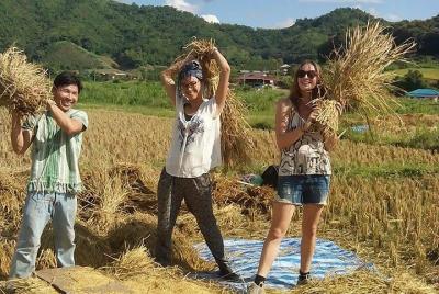 Private Tour: 2-Day Authentic Hill Tribes Tour and Homestay from Chiang Mai Private Tour: 2-Day Authentic Hill Tribes Tour and Homestay from Chiang Mai